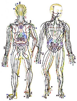 wp37d8b691_0f.jpg