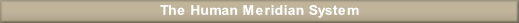 wp5a97a1d2.png